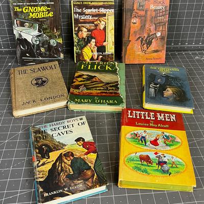 Young Adult Books, Vintage 