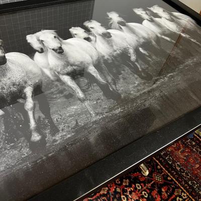 Framed Print of Horses