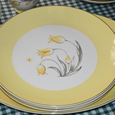 Yellow MCM Dishes
