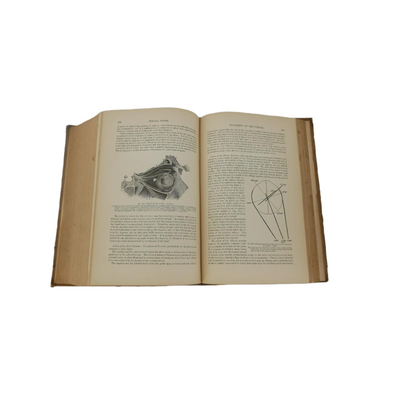 A Textbook of Human Physiology Designed for the Use of Practitioners and Students of Medicine (1877)