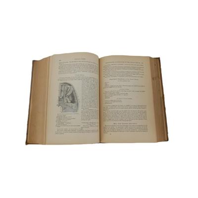 A Textbook of Human Physiology Designed for the Use of Practitioners and Students of Medicine (1877)