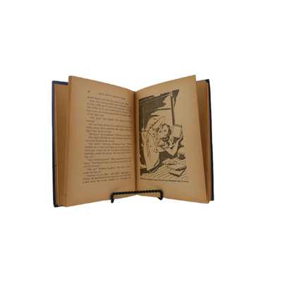 Vintage Sally Scott of the Waves Book