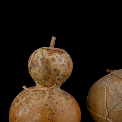 Unique Gourd Art Pieces