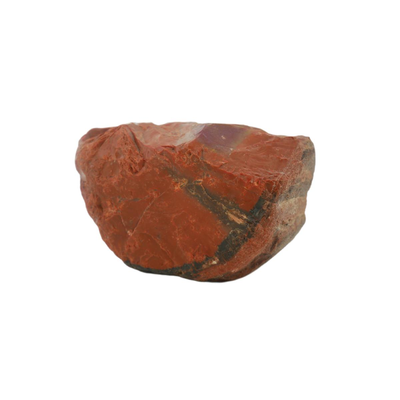 Petrified Wood Fossils