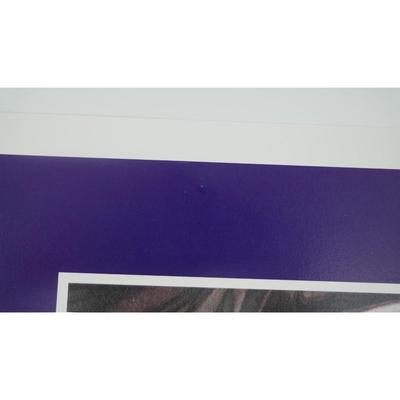 (4 pcs) Fairytale Fender Posters