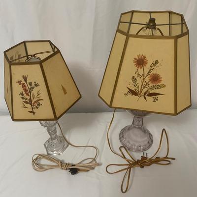 Pressed Botanical Lamp Duo (GR1-KW)
