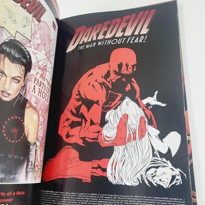 DAREDEVIL GUARDIAN DEVIL COLLECTABLE BOOK