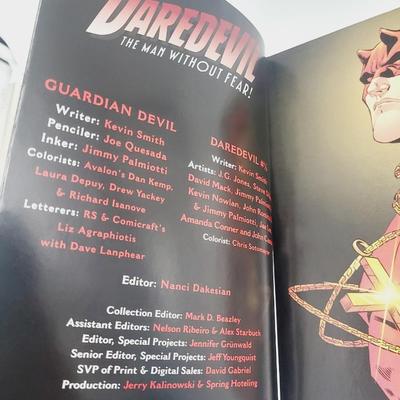 DAREDEVIL GUARDIAN DEVIL COLLECTABLE BOOK