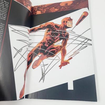 DAREDEVIL GUARDIAN DEVIL COLLECTABLE BOOK