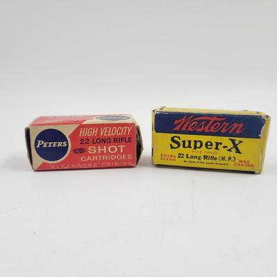 .22 LONG RIFLE MIXED AMMO BUNDLE