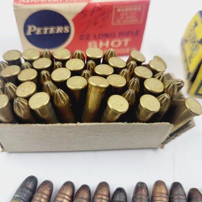 .22 LONG RIFLE MIXED AMMO BUNDLE