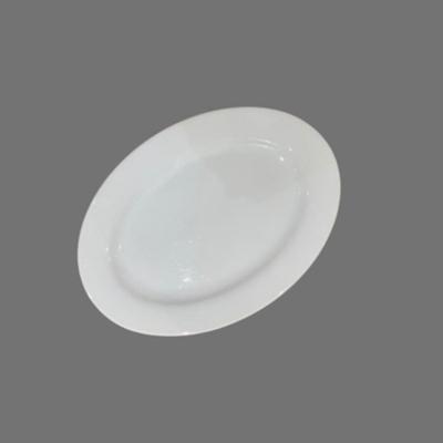 Vintage Williams Sonoma Pillivuyt Oval Porcelain Serving Platter