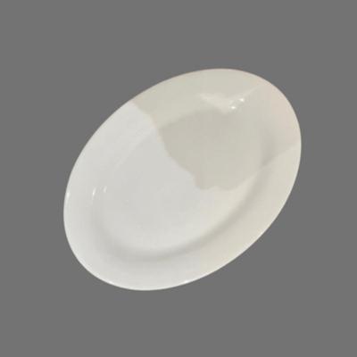 Vintage Williams Sonoma Pillivuyt Oval Porcelain Serving Platter