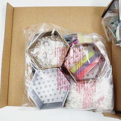 CRAFT CRUSH MINI TERRARIUMS KIT