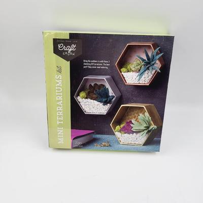 CRAFT CRUSH MINI TERRARIUMS KIT