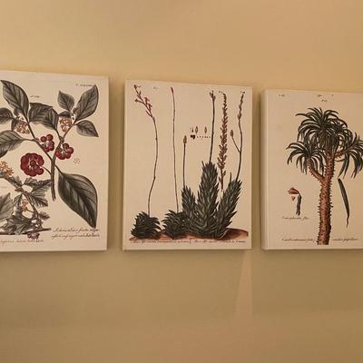 Three Vintage Tree Specimen Canvas Wrap Pictures