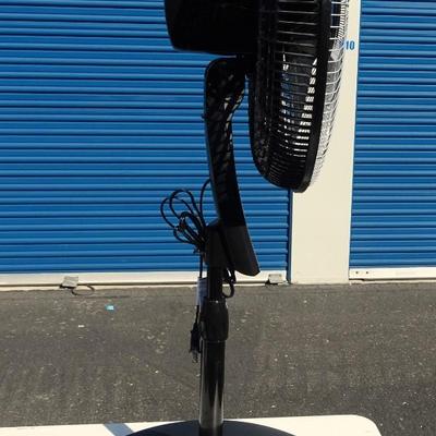 Panasonic and Lasko electric fans.