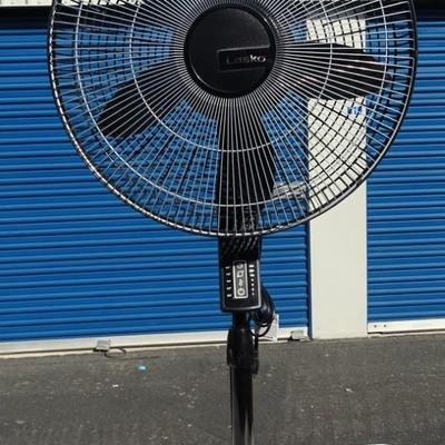 Panasonic and Lasko electric fans.