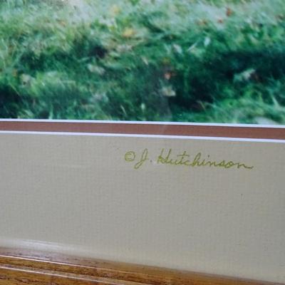 Original J. Hutchinson Landscape Photograph