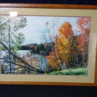 Original J. Hutchinson Landscape Photograph