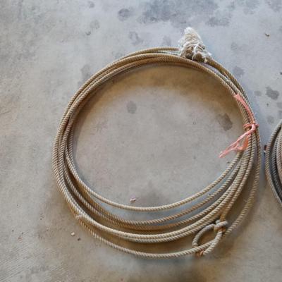 Lasso Rope Display LASSO ROPES | EstateSales.org