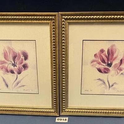 2 Flower Pictures
