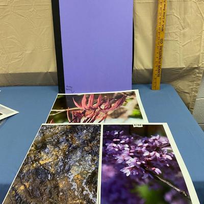 Pictures and carrier