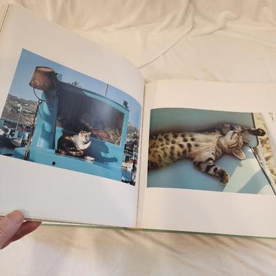 Cat Lover's Gift Lot: Cats in the Sun Coffee Table Book, Cat shaped clear bottle, Loving cats figurine, Cats do it better paperback