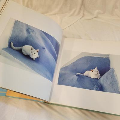 Cat Lover's Gift Lot: Cats in the Sun Coffee Table Book, Cat shaped clear bottle, Loving cats figurine, Cats do it better paperback