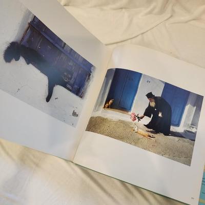 Cat Lover's Gift Lot: Cats in the Sun Coffee Table Book, Cat shaped clear bottle, Loving cats figurine, Cats do it better paperback