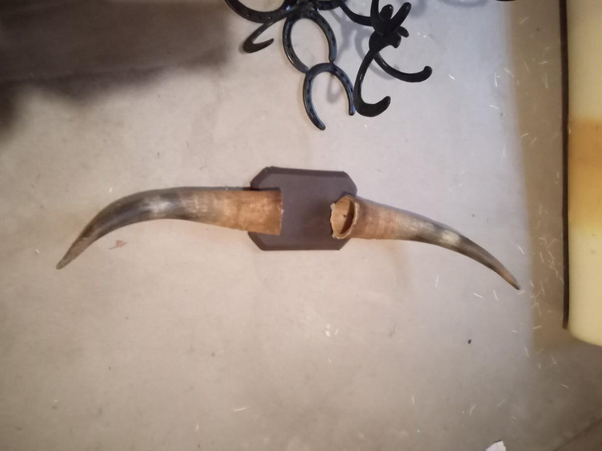 HORSESHOE DISPLAY STAND AND HORNS