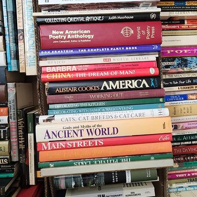 Large Lot (approx 200) Books - fiction, non-fiction, art, poetry, hard cover, paperbacks