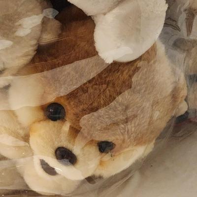 Teddies and Puppies and Kitties oh my! BIG bag of stuffed animals