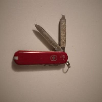 BUCK FIXED BLADE KNIFE AND A SMALL POCKET KNIFE