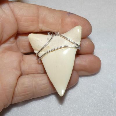 Faux Sharks Tooth Pendant - Large