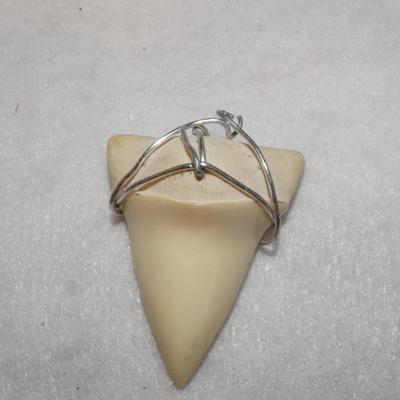 Faux Sharks Tooth Pendant - Large