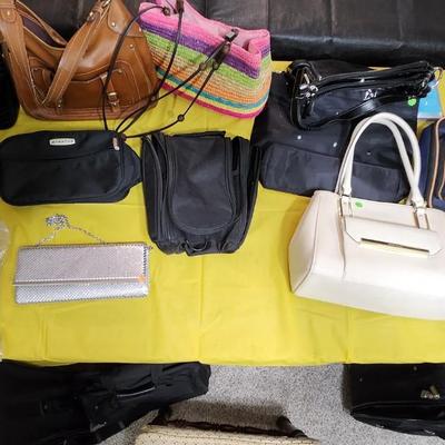 Purses and luggage set