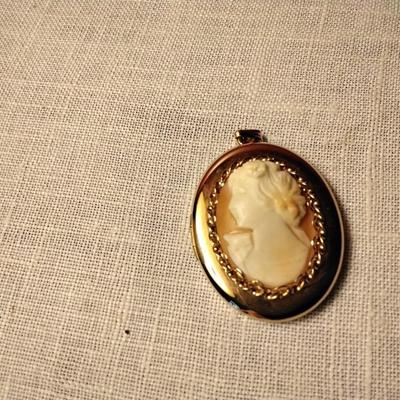 Gorgeous Left Facing Cameo Pendant/Brooch