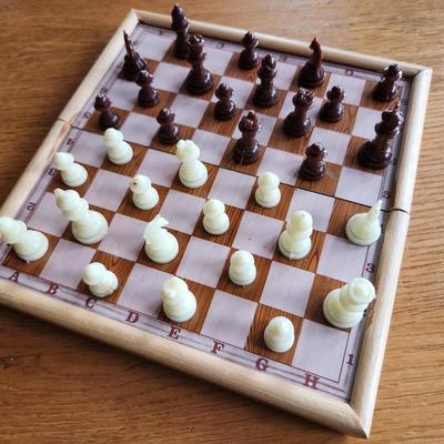 Travel Chess Set - #2