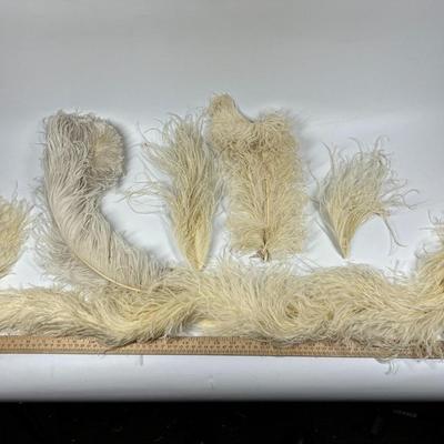 Antique Lot of White Victorian Dress Fashion Hat Dress Accessories Feathers