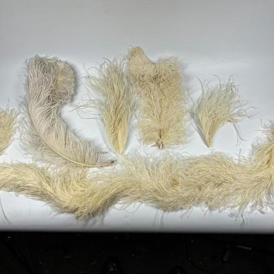 Antique Lot of White Victorian Dress Fashion Hat Dress Accessories Feathers