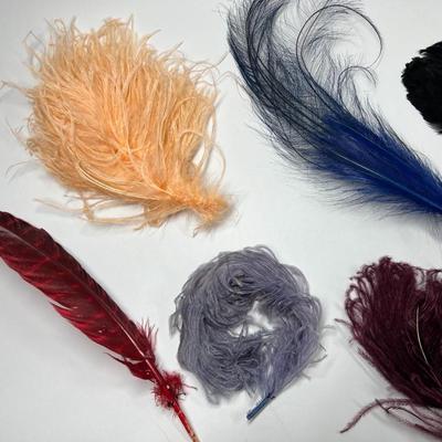 Antique Lot of Multicolored Victorian Dress Fashion Hat Dress Accessories Feathers & More
