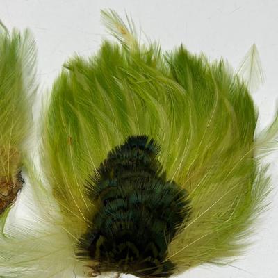 Antique Lot of Green Peacock Feather Motif Accessories