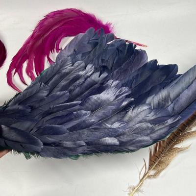 Antique Lot of Multicolored Victorian Dress Fashion Hat Dress Accessories Red Bird Feathers