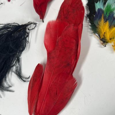 Antique Lot of Multicolored Victorian Dress Fashion Hat Dress Accessories Red Bird Feathers