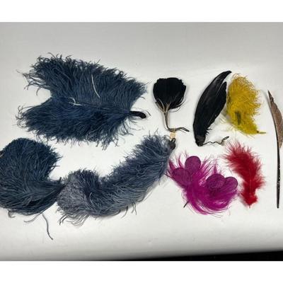 Vintage Lot of Multicolored Victorian Dress Fashion Accessories Feathers