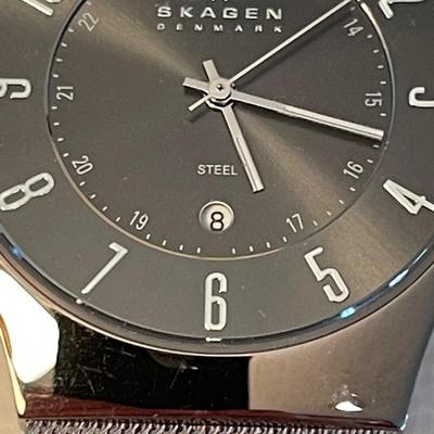 Skagen Denmark Wristwatch / Steel