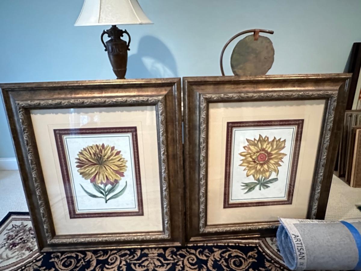 Two framed flower pictures