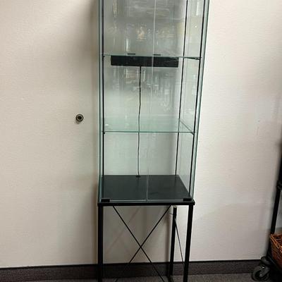 Contemporary Metal & Glass Lighted Curio Display Cabinet with 2 Shelves