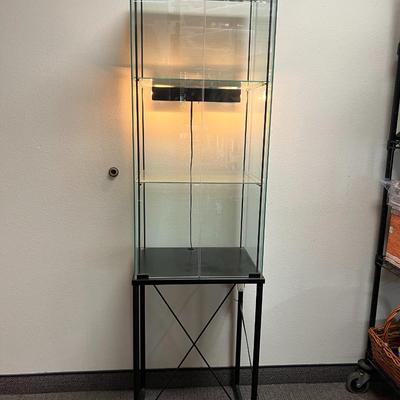 Contemporary Metal & Glass Lighted Curio Display Cabinet with 2 Shelves